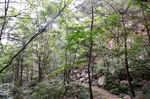 风景
