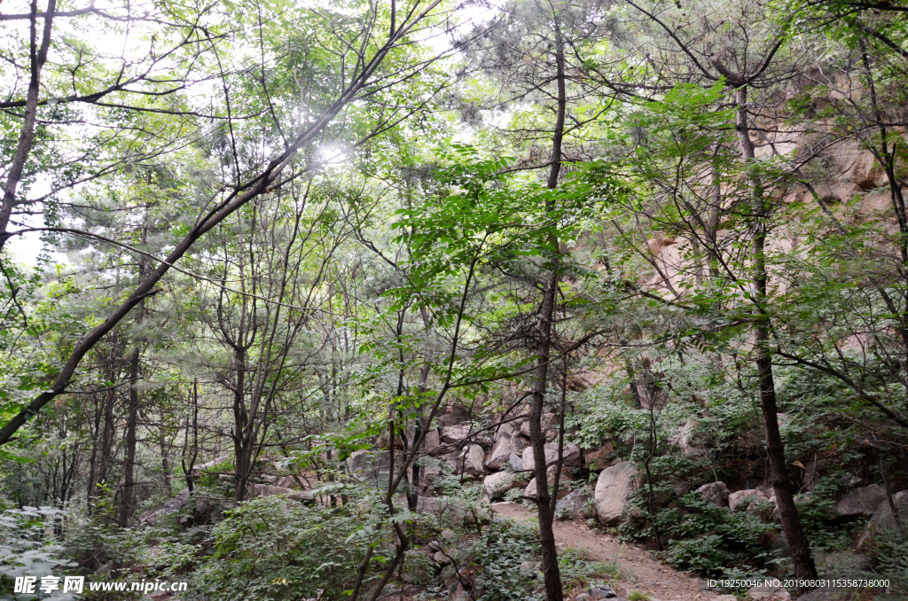 风景