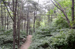 风景