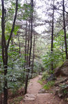 风景