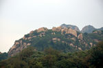 山