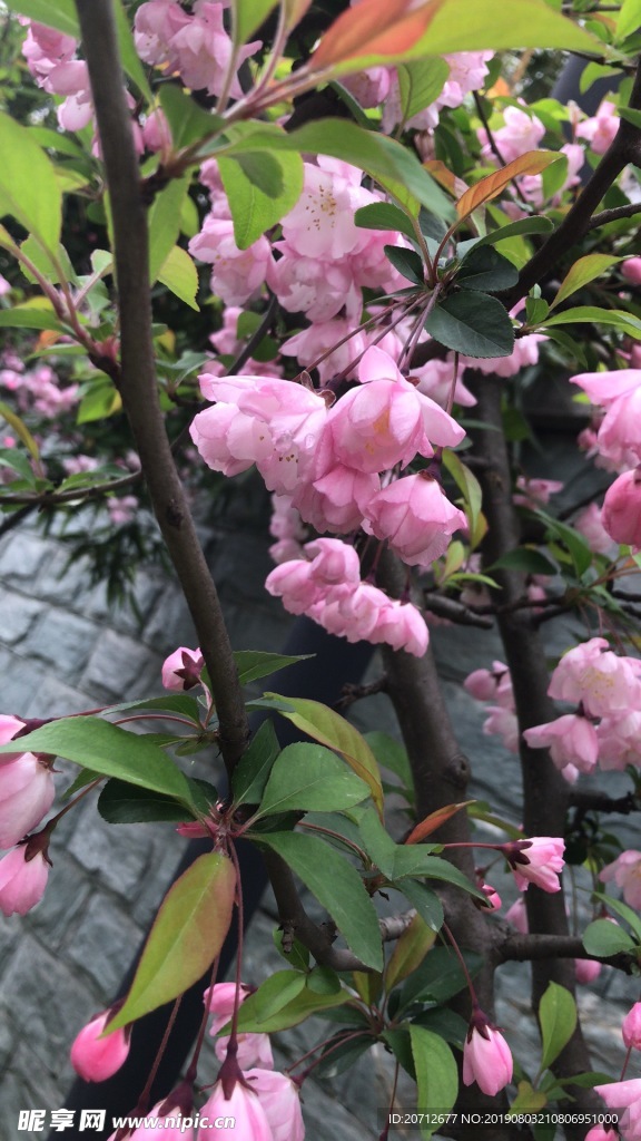 花