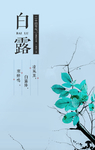 清新简约白露节气图