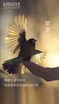 早安