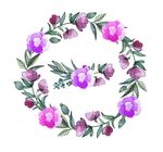 紫花圈
