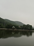 公园绿植