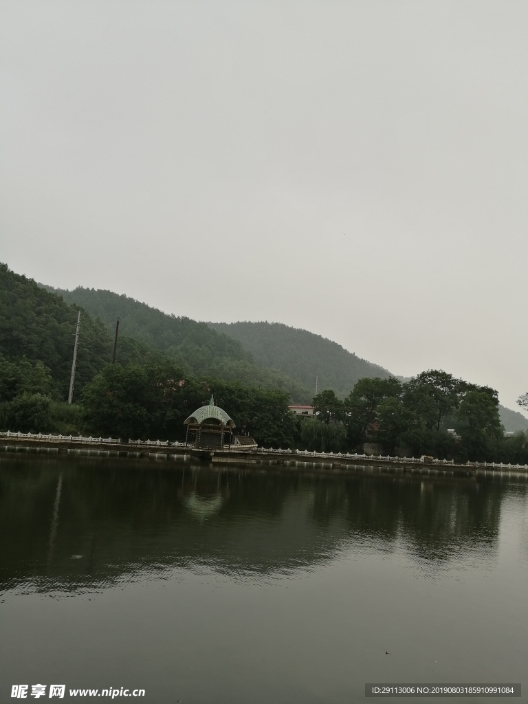 公园绿植