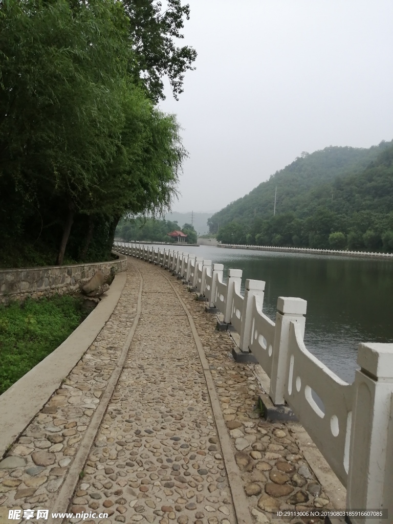 公园绿植