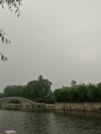 公园绿植