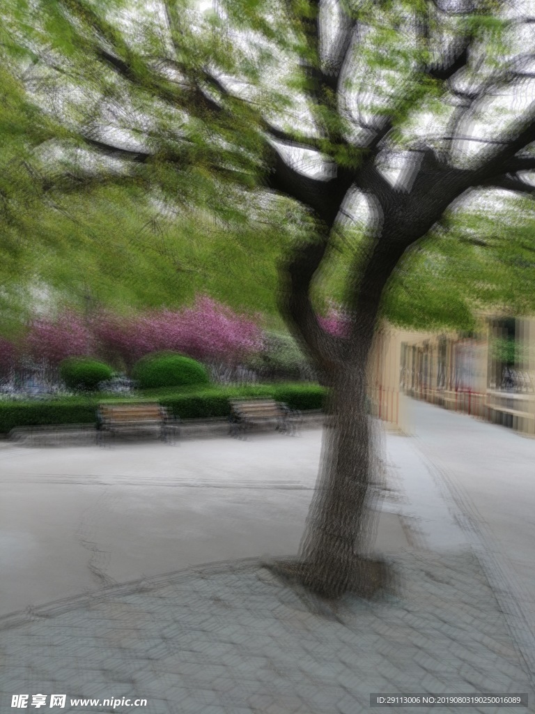 公园绿植