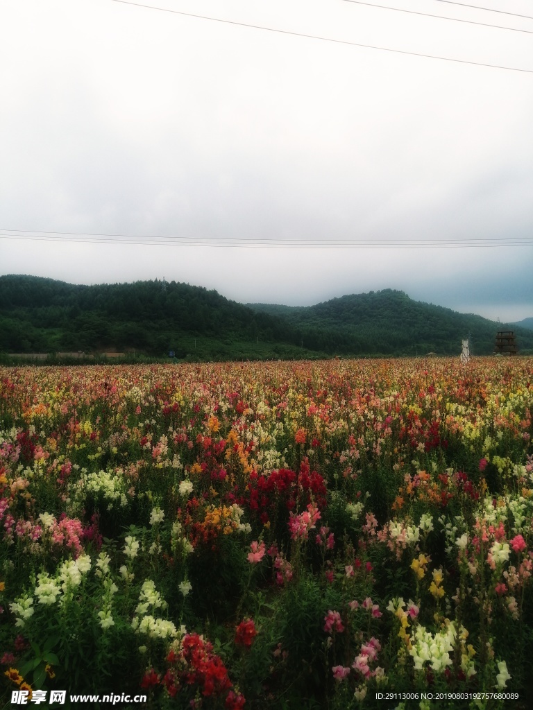 自然风景