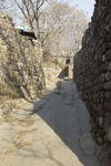 乡间小路