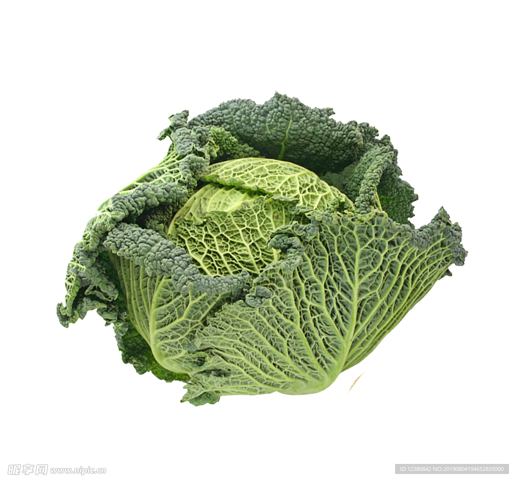 卷心菜