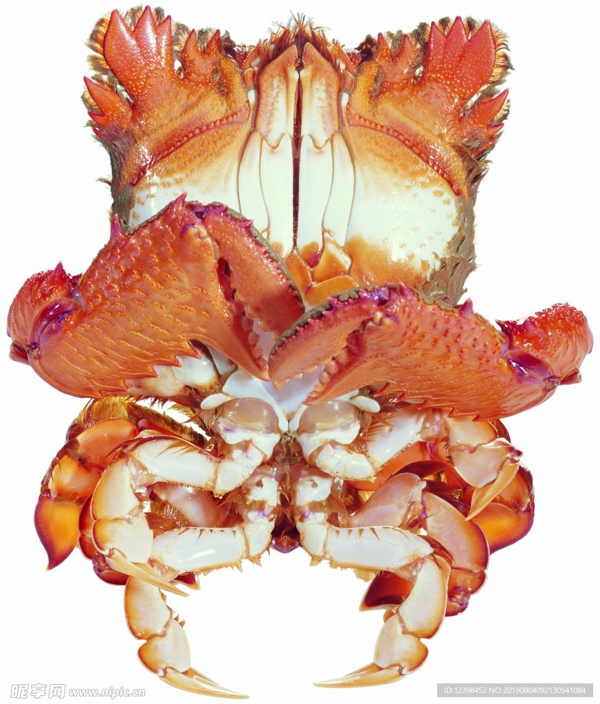 海蟹