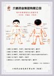 儿童穴位图指引
