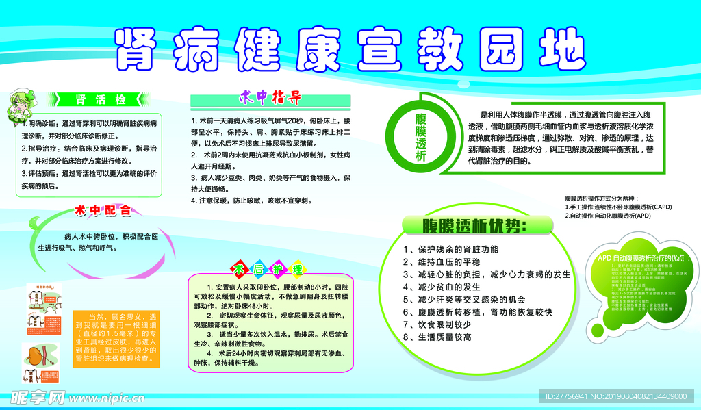 肾病健康宣传教育