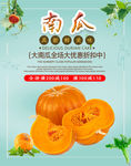 时尚简约小清新南瓜食品茶饮全屏
