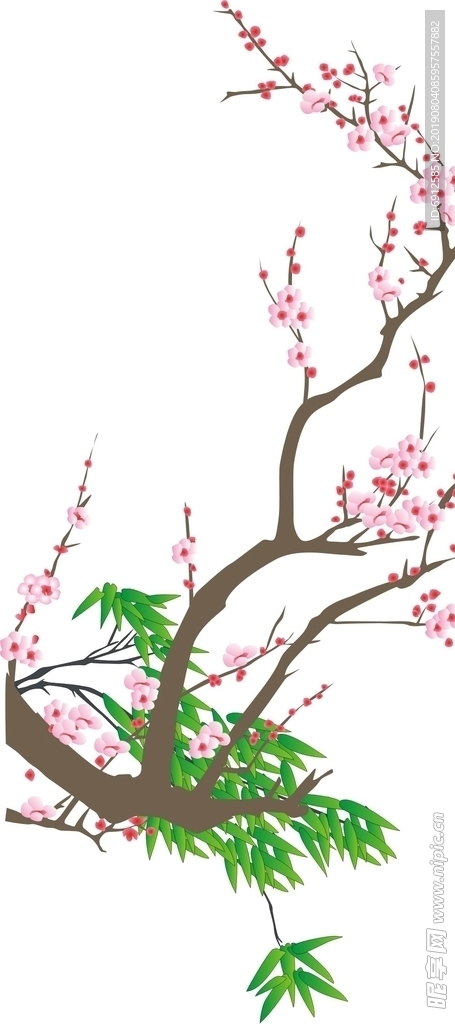 梅花