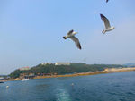 大海风光