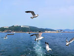 大海风光