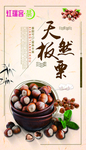 天然板栗