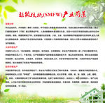 核桃宣传图片绿色背景展板
