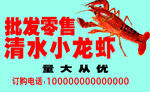 小龙虾 车贴  车窗  批发