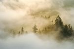 云雾 群山