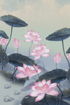 中国风荷花