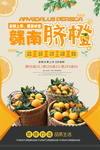 赣南脐橙简洁大气海报