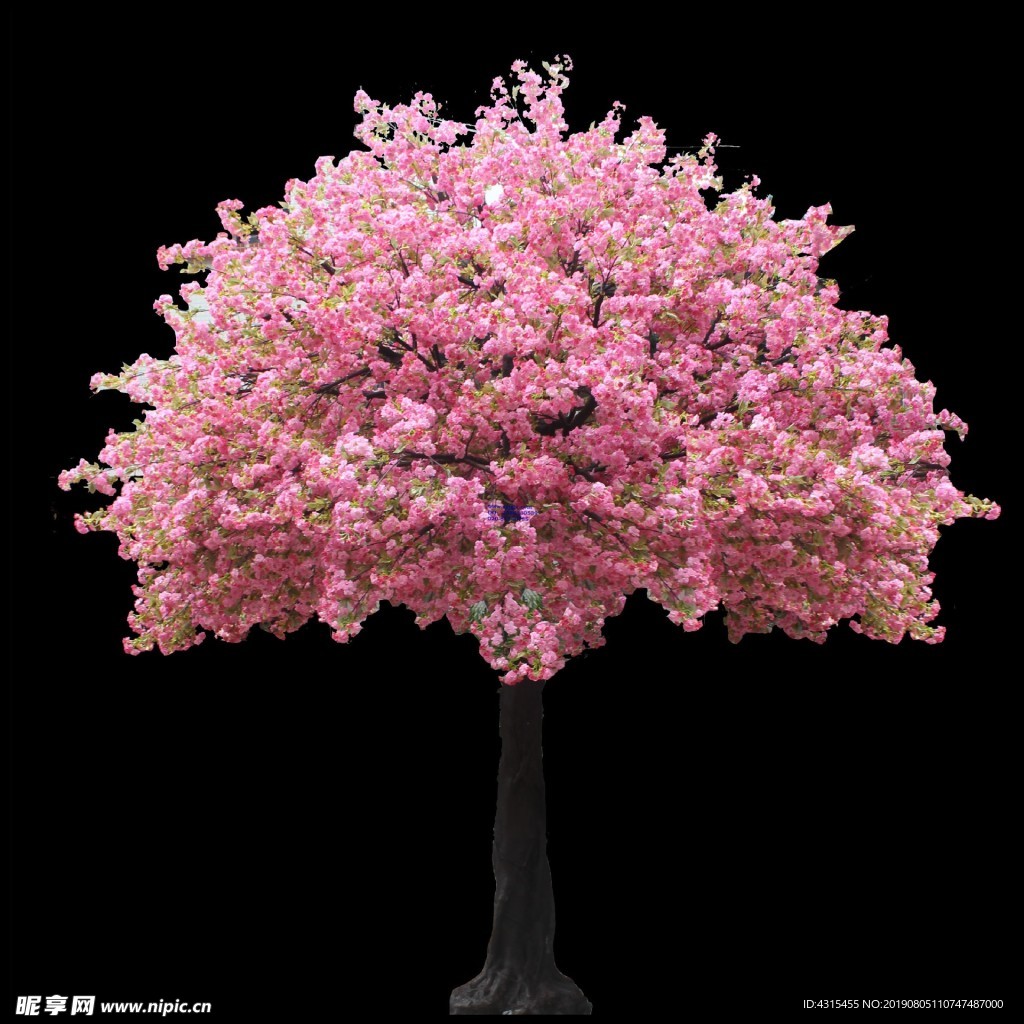 桃花树