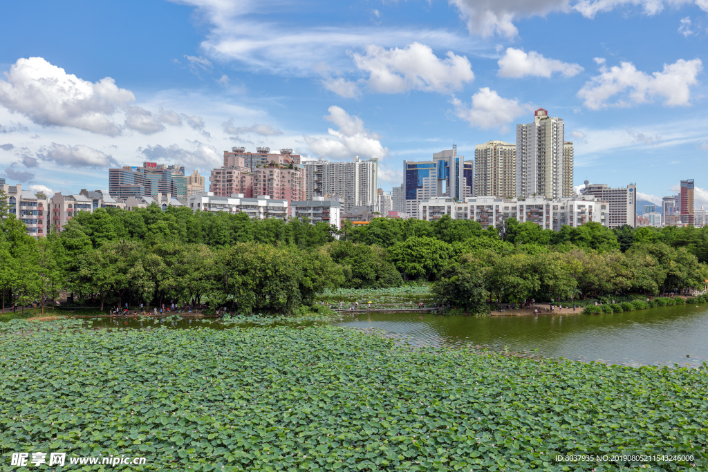 深圳洪湖公园