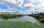 深圳洪湖公园