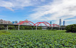 深圳洪湖公园