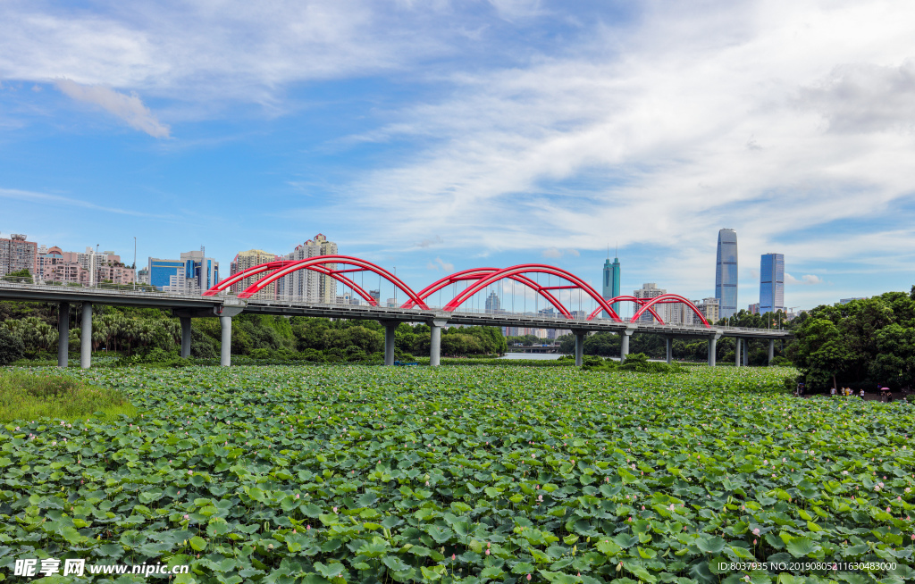 深圳洪湖公园