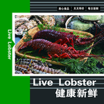 龙虾