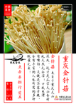 重庆金针菇