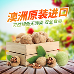 澳洲核桃