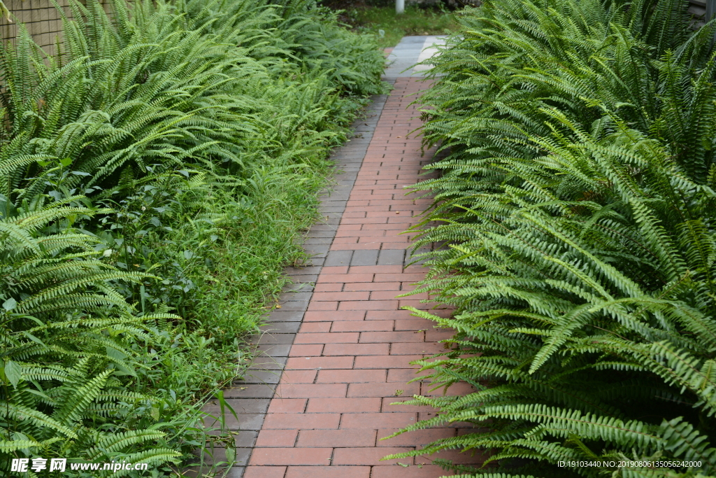 小路