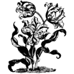 素描绘画植物花朵
