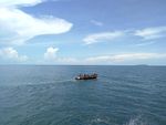 大海