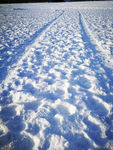 雪地