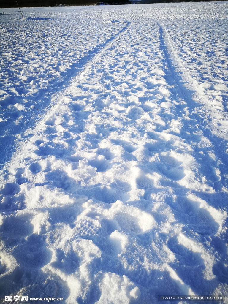 雪地