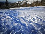 雪地