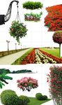 花草树木