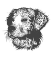 狗