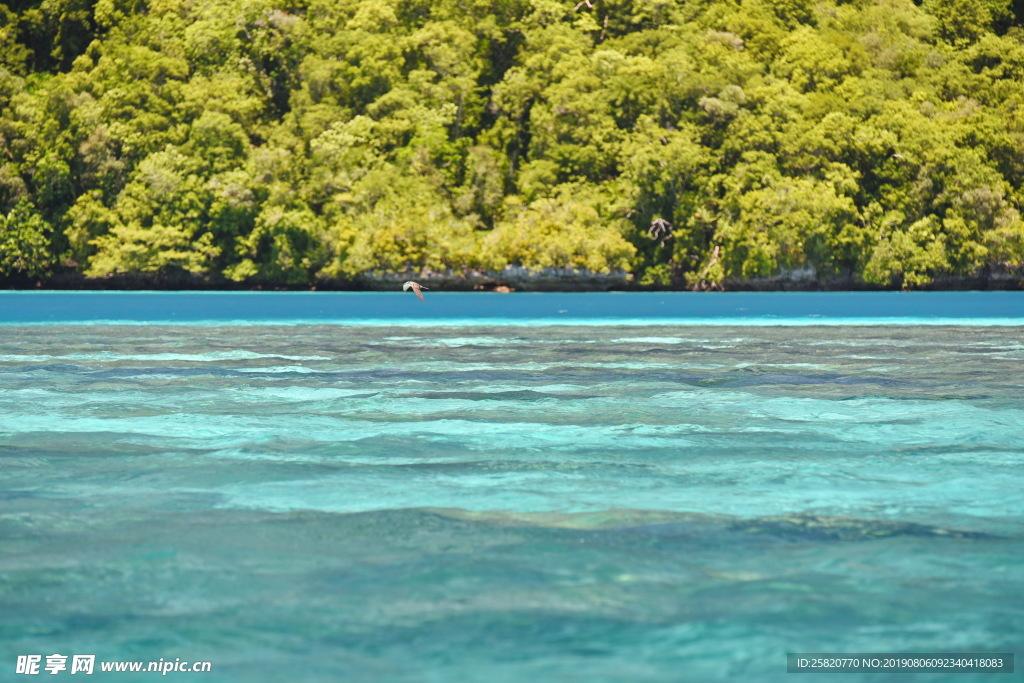 帕劳群岛美丽海景风光