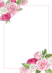 花朵边框