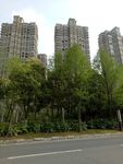小区建筑