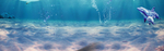 海底世界